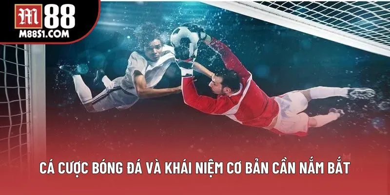 Cá cược bóng đá và khái niệm cơ bản cần nắm bắt Cá cược bóng đá và khái niệm cơ bản cần nắm bắt