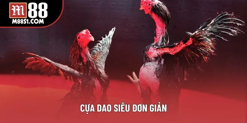 Cựa dao siêu đơn giản Cựa dao siêu đơn giản