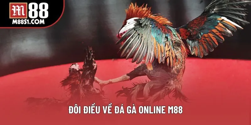 Đôi điều về đá gà online M88 Đôi điều về đá gà online M88